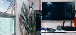 Blk 233C Matilda Court (Punggol), HDB 4 Rooms #568284591